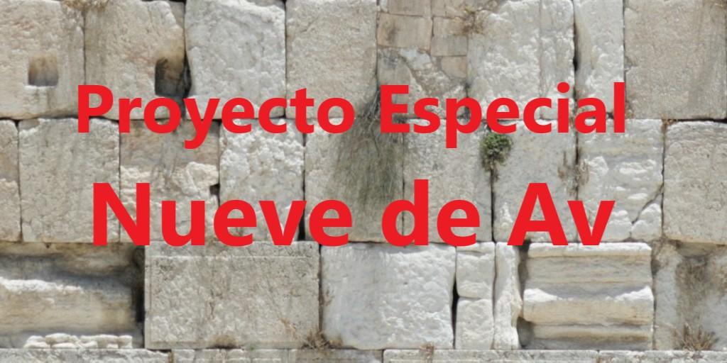 Proyecto Especial Nueve de Av
