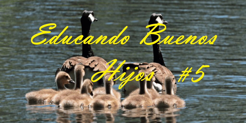 Educando Buenos Hijos patos oscuros 5.jpg